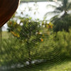 Bob Fields & Micki Ward > Belize - August 2006 photo