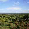 Bob Fields & Micki Ward > Belize - August 2006 photo