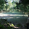 Bob Fields & Micki Ward > Belize - August 2006 photo
