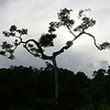 Bob Fields & Micki Ward > Belize - August 2006 photo