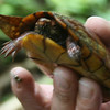 Bob Fields & Micki Ward > Belize - August 2006 photo