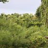 Bob Fields & Micki Ward > Belize - August 2006 photo