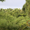 Bob Fields & Micki Ward > Belize - August 2006 photo