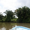 Bob Fields & Micki Ward > Belize - August 2006 photo