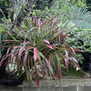 Bob Fields & Micki Ward > Belize - August 2006 photo