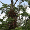 Bob Fields & Micki Ward > Belize - August 2006 photo