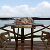 Bob Fields & Micki Ward > Belize - August 2006 photo